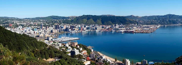 Car Shipping to Wellington