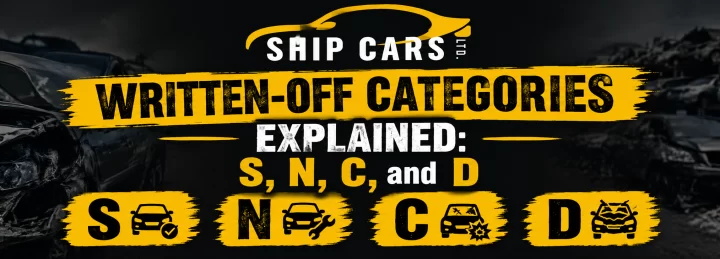 Written-Off Categories Explained: S, N, C, and D