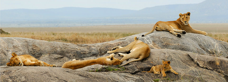 botswana