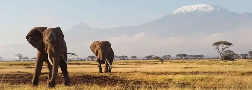 kenya
