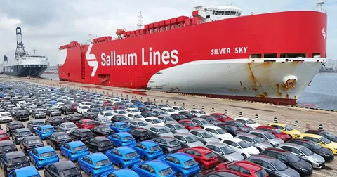 Temporary Vehicle Export & Carnet Insurance: A Complete Guide