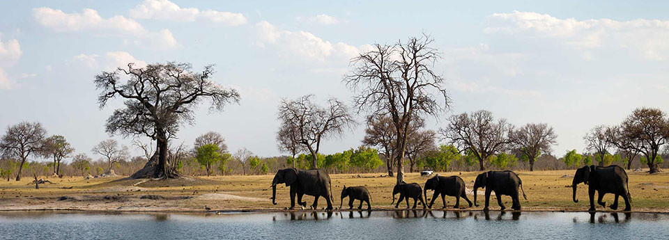zimbabwe